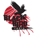 Black Bird Radio