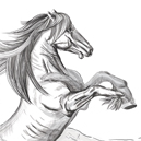 Рисунок коня для винной этикетки